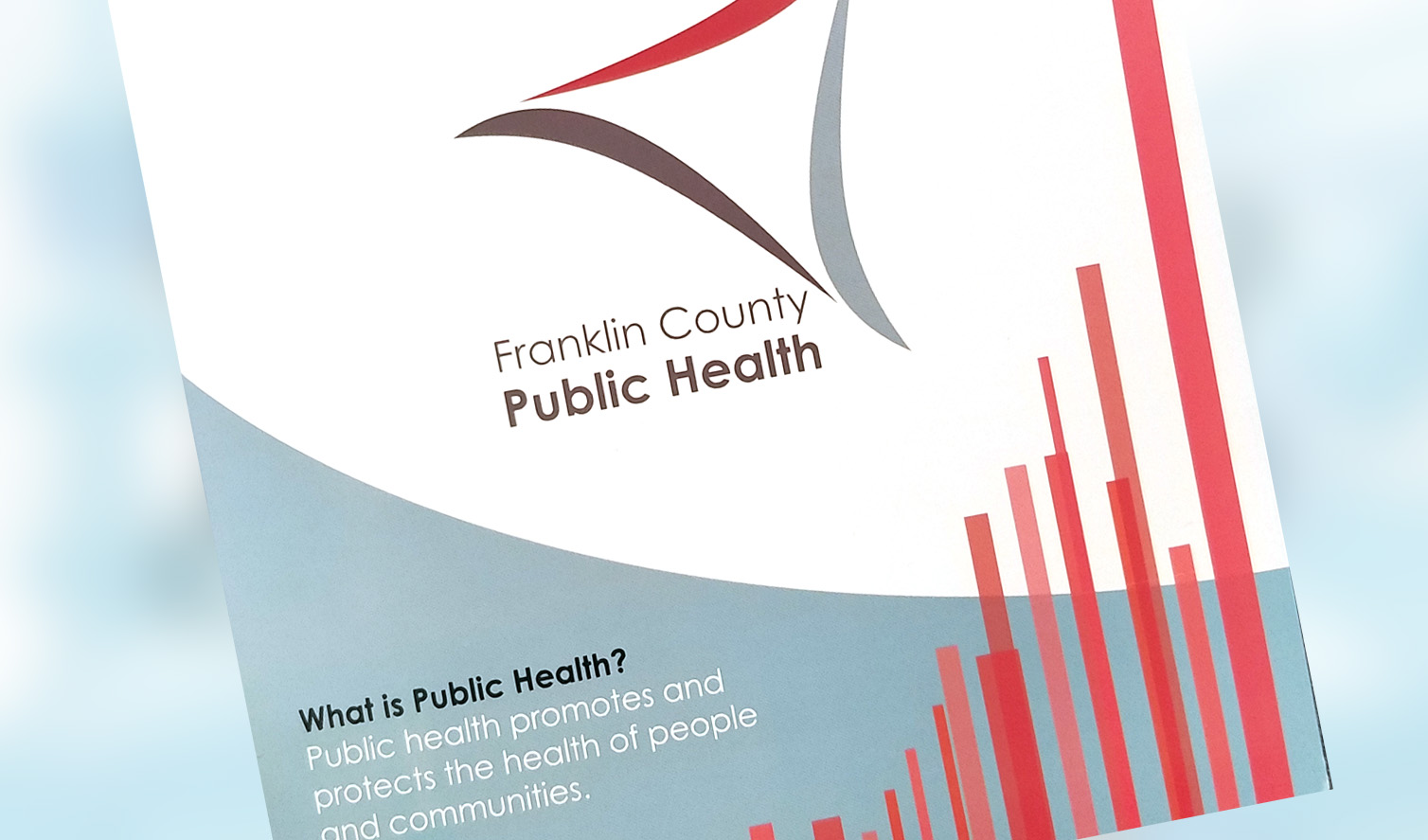FCPH Annual Report 2016